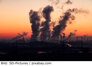 Umweltverschmutzung 320